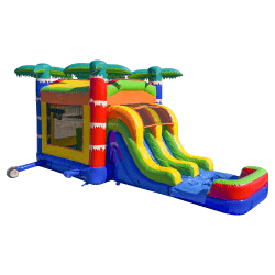 Green20Rainbow20Slide2003 1746804545 Tropical Rainbow Combo
